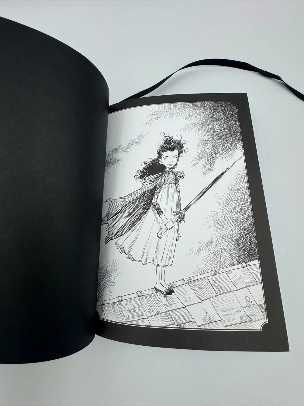 Goth Girl and‎ the Wuthering Fright Chris Riddell HC 2015 Mini Book Complete